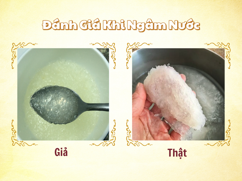 Đánh Giá Yến Sào Thật Giả Sau Khi Ngâm Nước