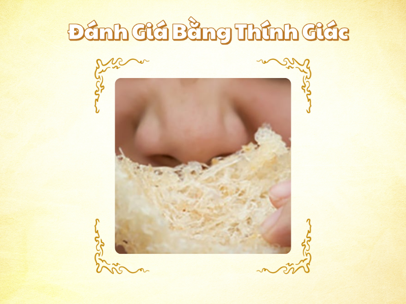 Đánh Giá Yến Sào Thật Giả Bằng Thính Giác