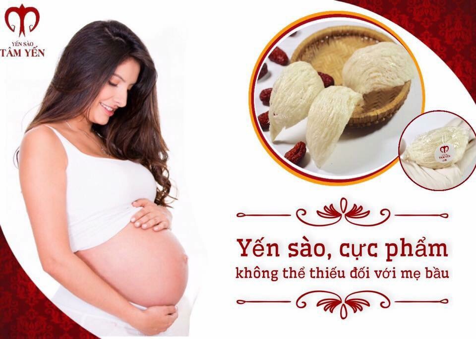 yến sào cho bà bầu 01